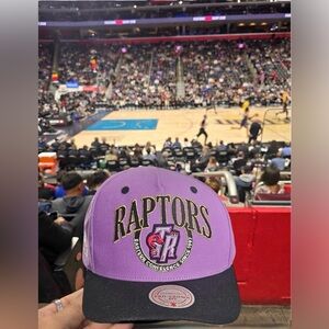 Purple Toronto Raptors Hardwood Classics Crown Jewels Pro Snapback Hat